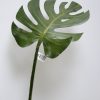 Tak Monstera - Afbeelding 3
