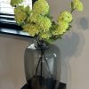 Hortensiatak fris groen - Afbeelding 2