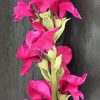 Zijden Snapdragon Single - Afbeelding 3