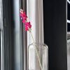 Zijden Snapdragon Single