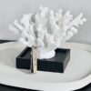 Koraal Polyresine Wit M