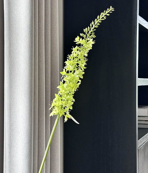 Zijden Enemurus – Groen van Colours & Green, kunstbloemtak van 94 cm.