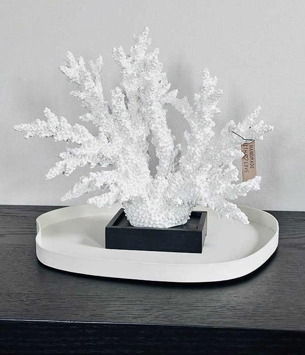 J-Line Koraal Polyresine Wit Groot op dienblad met decoratie