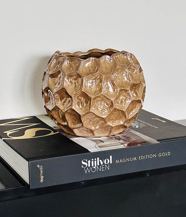 Medina Dark Pearl L, 19 x 15 cm, Daan Kromhout, bruin