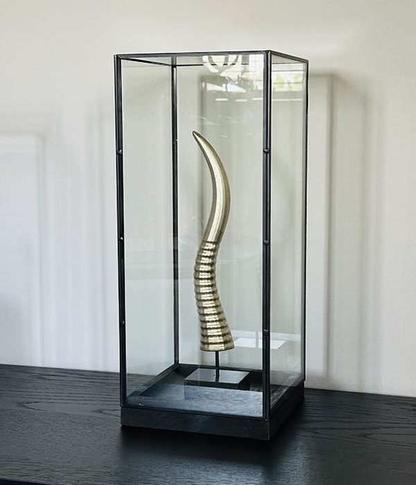 Goudkleurige decoratieve hoorn op zwarte standaard onder een glazen stolp uit de collectie Circulair Chique.