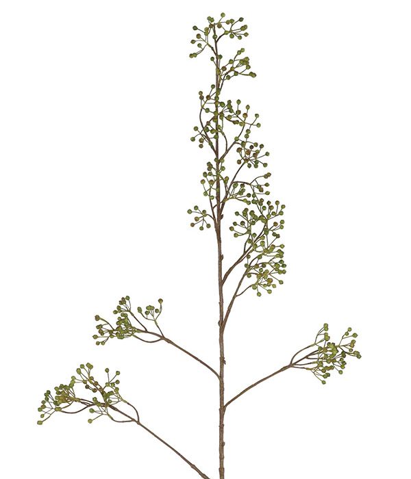 Countryfield Bes Ilex Verticillata L groen, 122 cm hoog