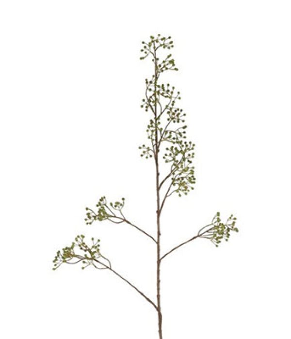 Countryfield Bes Ilex Verticillata L groen, 122 cm hoog