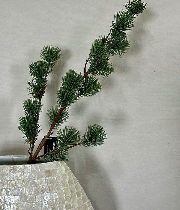 Countryfield Pinus Spaera dennentak in een lichte Capiz vaas
