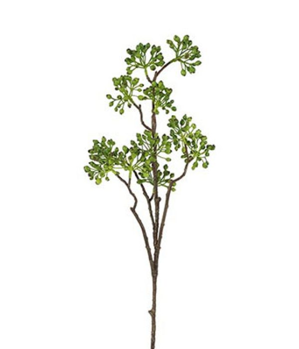 Countryfield groene rozenbotteltak met kleine bessen, 82 cm hoog