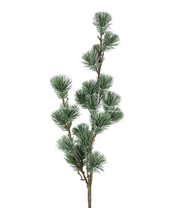 Detail van de groene dennennaalden van Countryfield Pinus Spaera